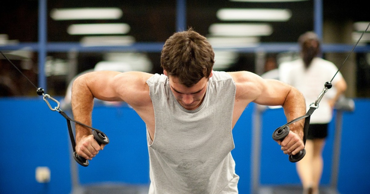 BA vs. BS in Exercise Science: Which Path Is Right for You? | Northwest ...