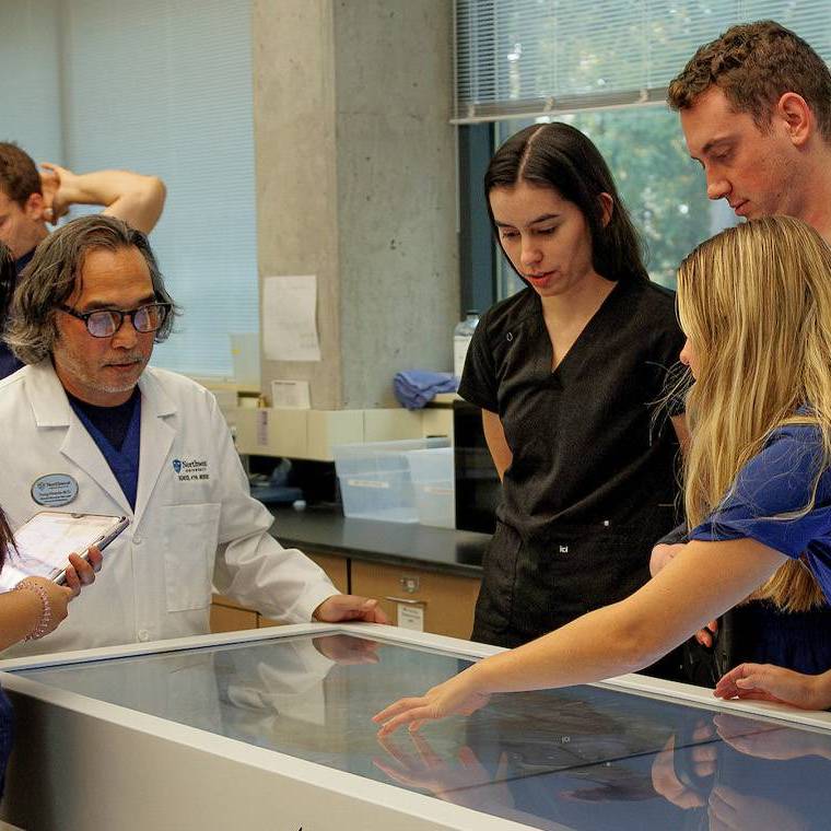 Nyu Pa Program School of PA Medicine | Northwest University